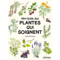 Mini-guide des plantes qui...