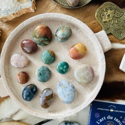 Jaspe Océan, intégration