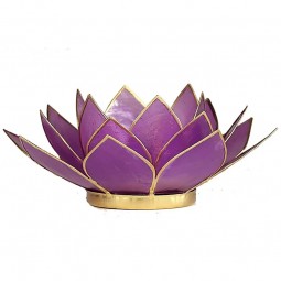 Eclairage d’ambiance Lotus