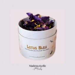 Howlite, pendentif aile