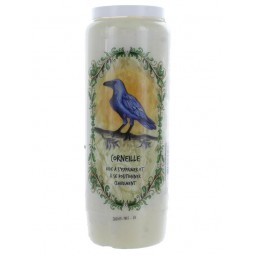 Neuvaine animal totem -...