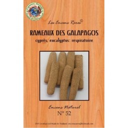 Encens Rameaux des...