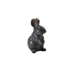 Lapin agate indienne Animal...