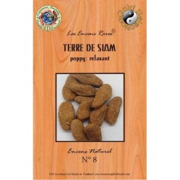 Encens Terre de Siam 25 g