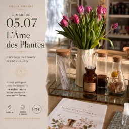 Elixir Confort Menstruel –...