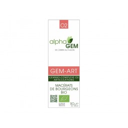 Gem ART 50ml Articulation